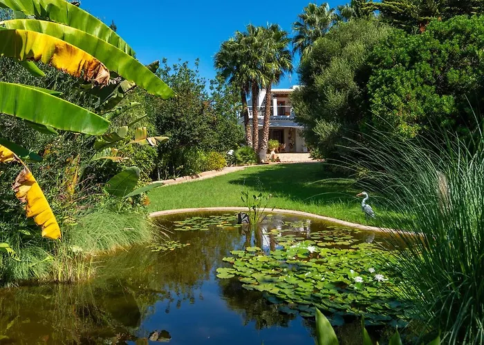 Villa Carmen Morna Villa *